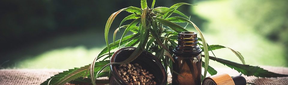 cbd oil